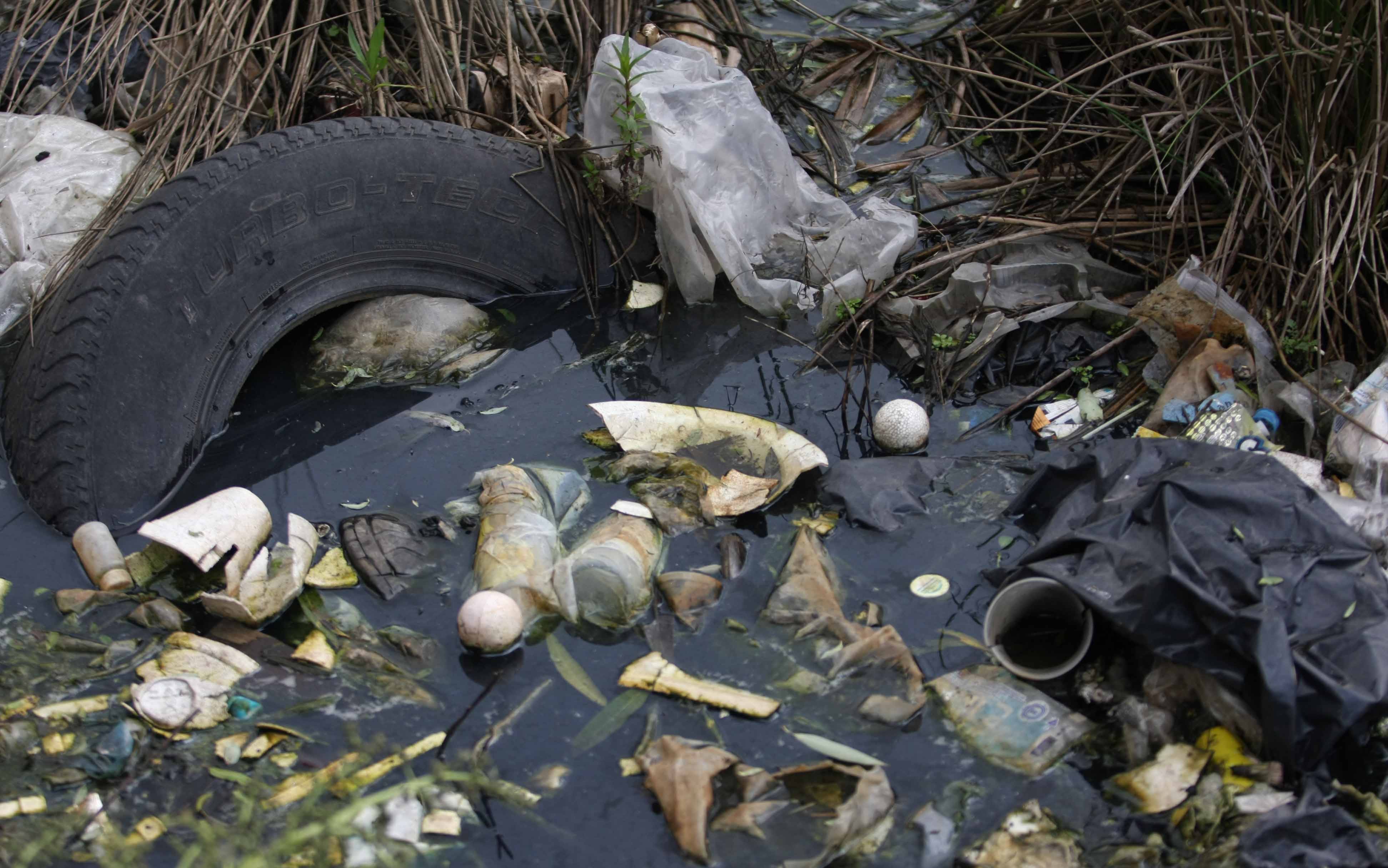 Contaminación del cuerpo de agua.