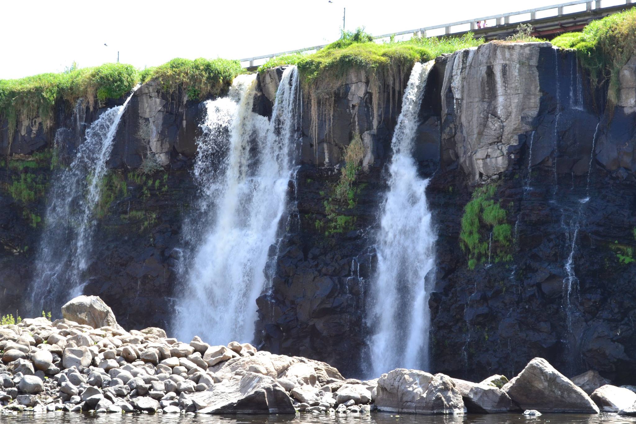 La cuenca del río Santiago–Guadalajara es una de las zonas del Estado de Jalisco con los más altos niveles de degradación ambiental. 