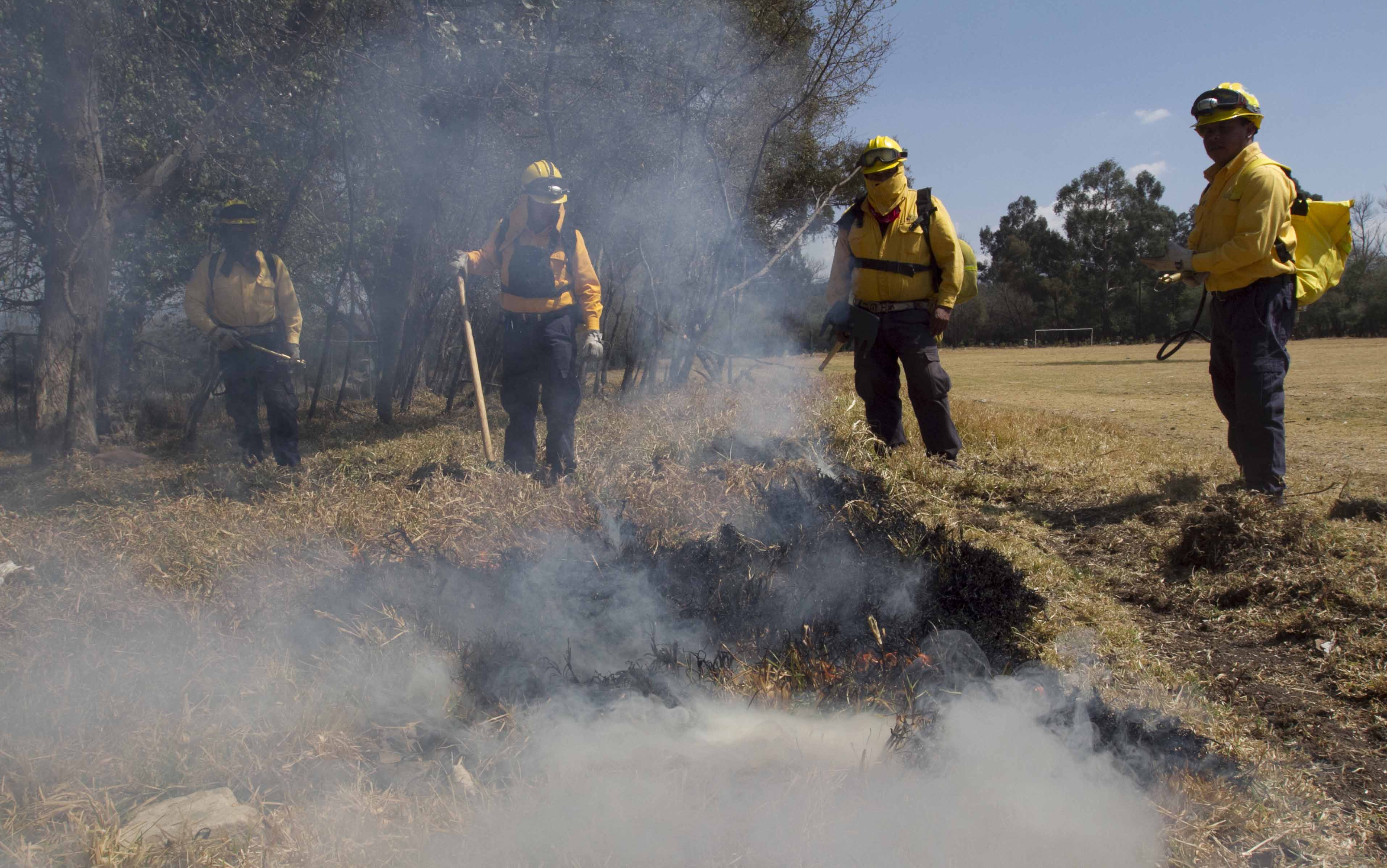 Sofocan los incendios forestales.
