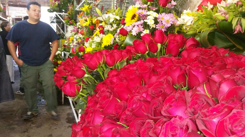 En Torreón, Fernando Cázares tiene una vida entre pétalos de rosas.
