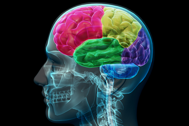 El TDAH es un problema del cerebro, no de conducta.