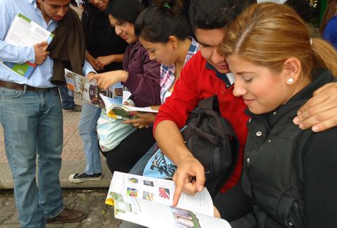 En su mayoría, la población universitaria tuvo mayor participación. 