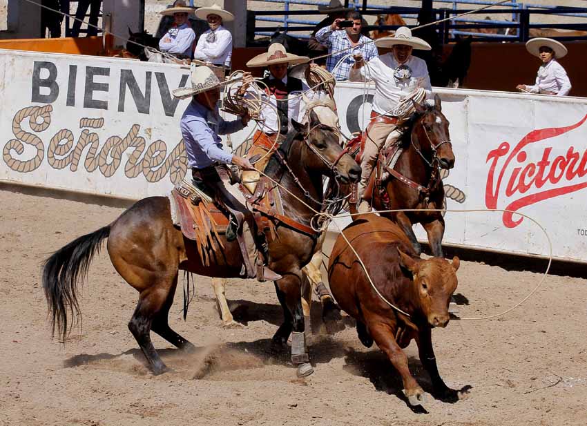 La actividad continúa dentro de la segunda fase del Circuito Laguna 2017, que organiza la Asociación de Charros de La Laguna.