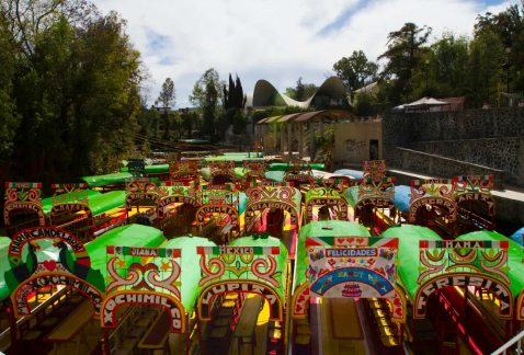 Los 27 canales de Xochimilco serán revisados por especialistas de la UNAM y el Politécnico para detectar grietas y evitar fugas de agua.