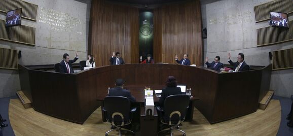 La Sala Superior del Tribunal Electoral del Poder Judicial de la Federación.