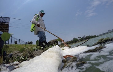 La contaminación es evidente con las descargas de aguas negras.