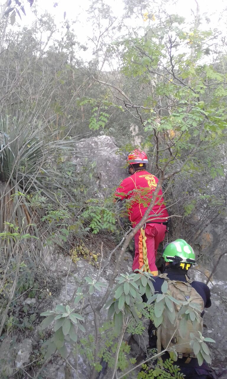 Protección Civil arribó al lugar para el rescate. 