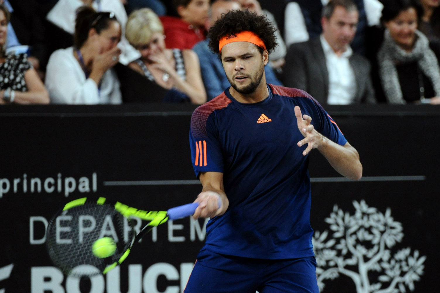 Jo-Wilfred Tsonga