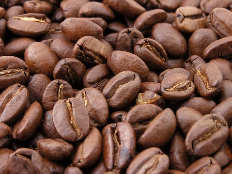 Las semillas de café arábigo pronto formarán parte de la Bóveda Global de Semillas.