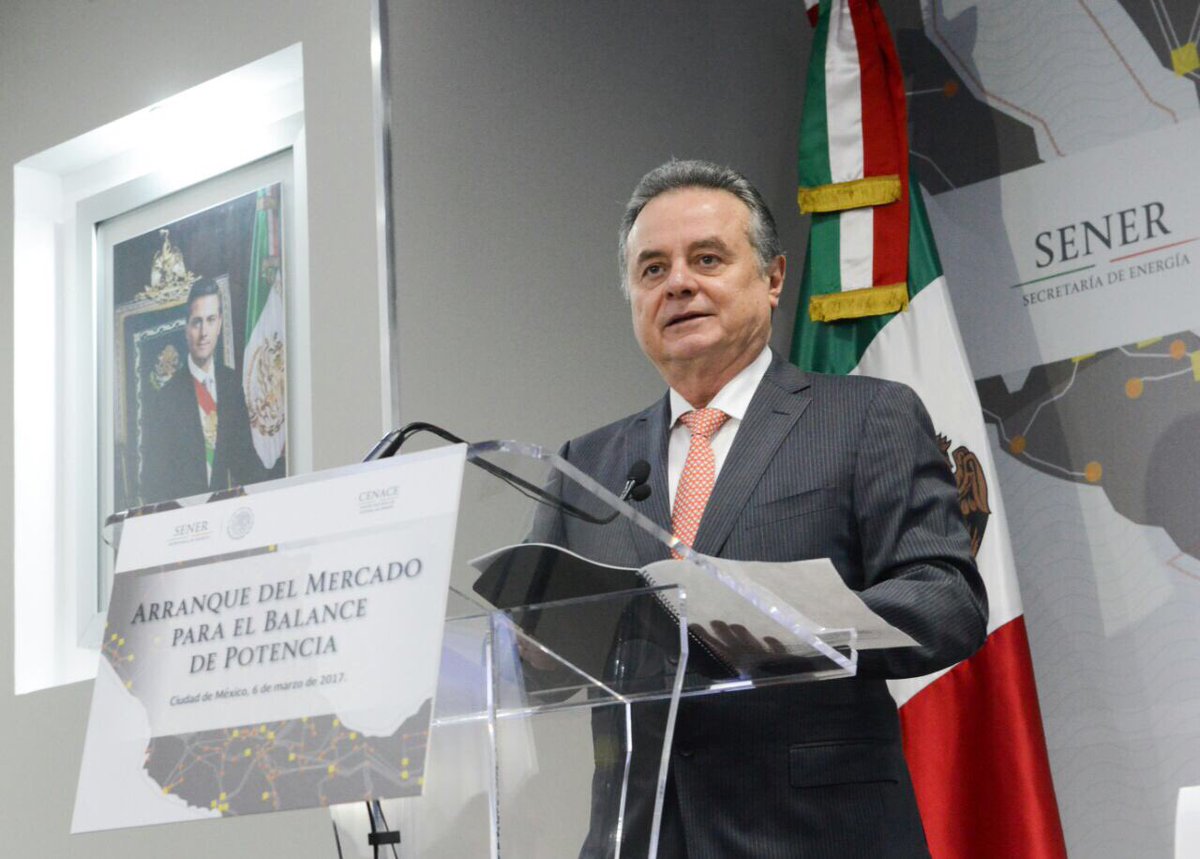 El secretario de Energía, Pedro Joaquín Coldwell