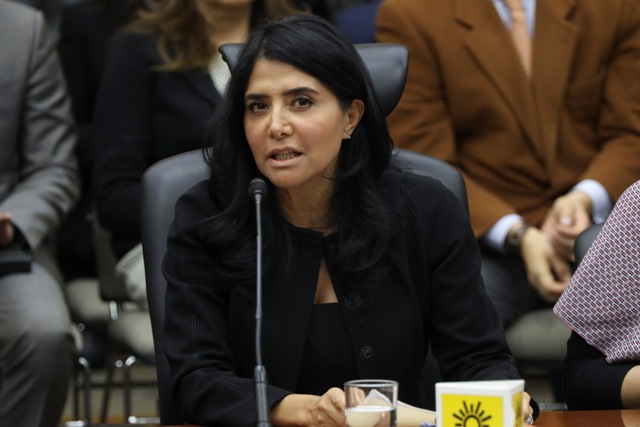 La dirigente nacional del PRD, Alejandra Barrales. 
