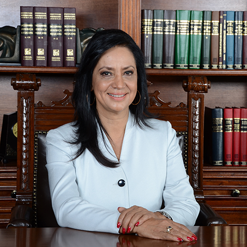 Diputada del PAN, Leticia Villegas Nava