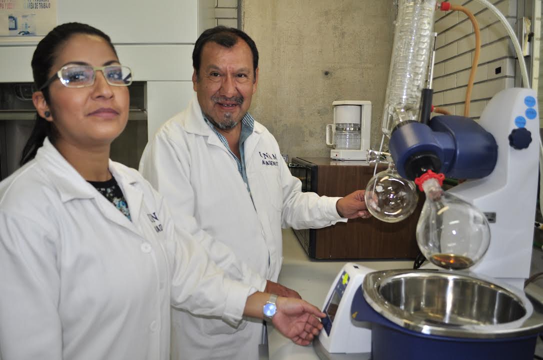 El grupo de investigadores involucrados en el proyecto.
