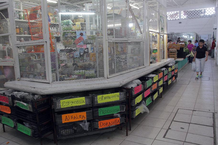Hasta 50% menos de ventas en el Mercado Donato Guerra de Lerdo.