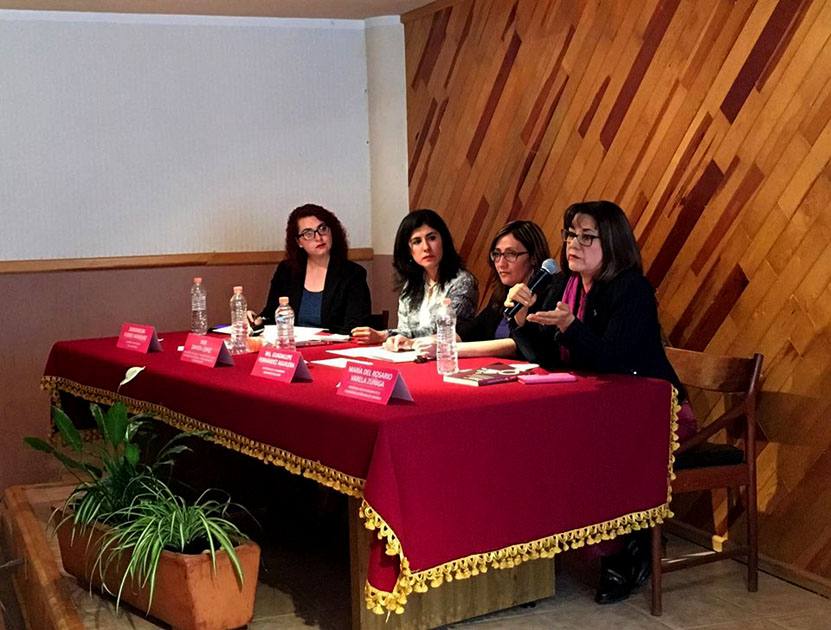 El libro reúne la investigación en cuanto al cumplimiento de la paridad de género en la política. 
