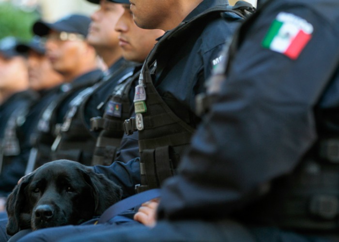 Esperando la última llamada. 