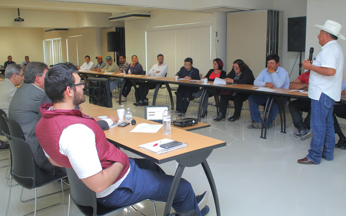En La Laguna, el 70% de los alimentos se desperdician en los campos agrícolas.