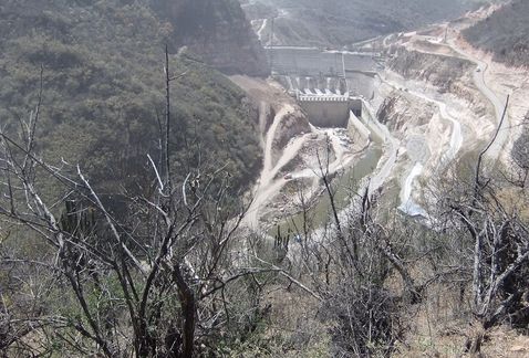 Zapotillo-León. (Foto Especial)