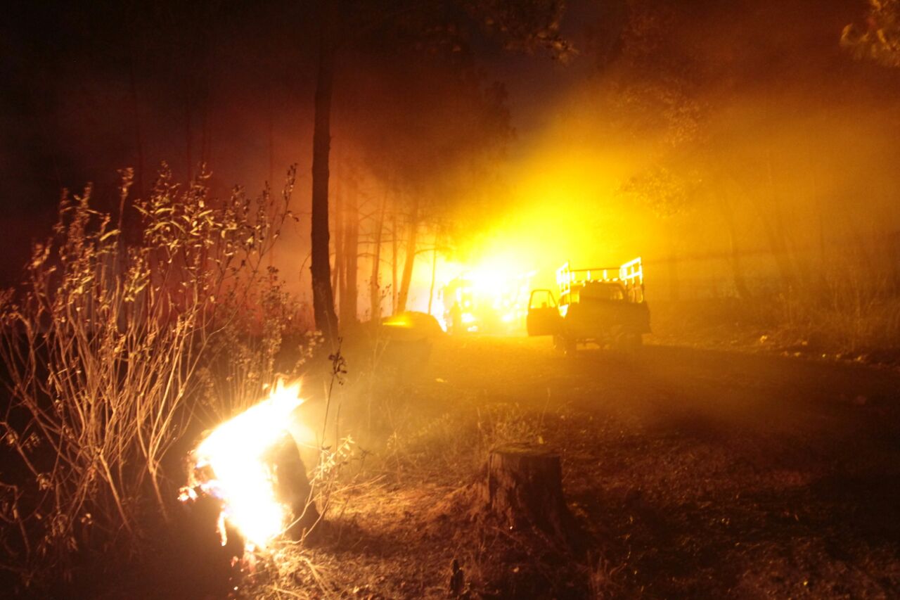 El fuego ha arrasado con varias hectáreas de bosque.
