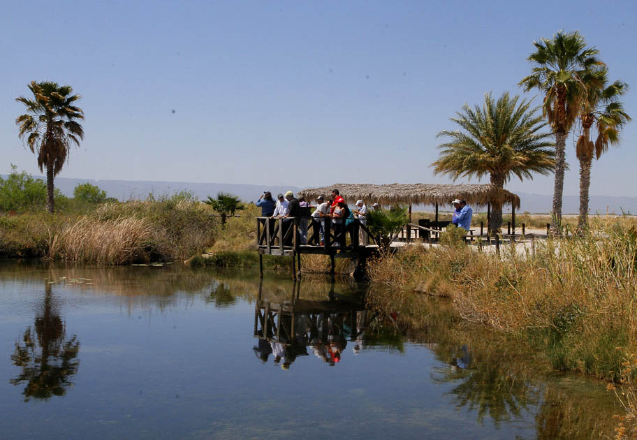 Estudio del IMTA señala que en Cuatro Ciénegas hay buen nivel del agua.