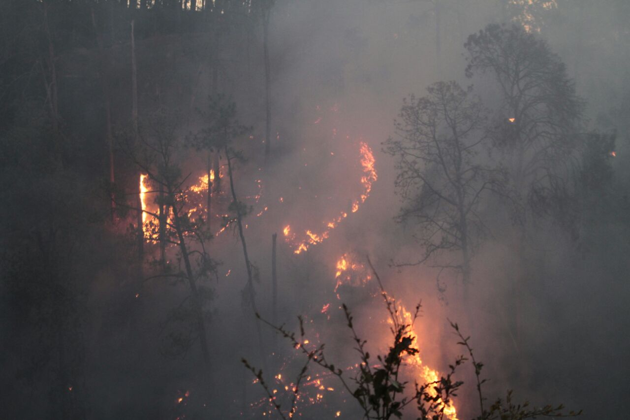 El personal de Combate a Incendios Forestales, acudió al lugar para tratar de sofocar el fuego.