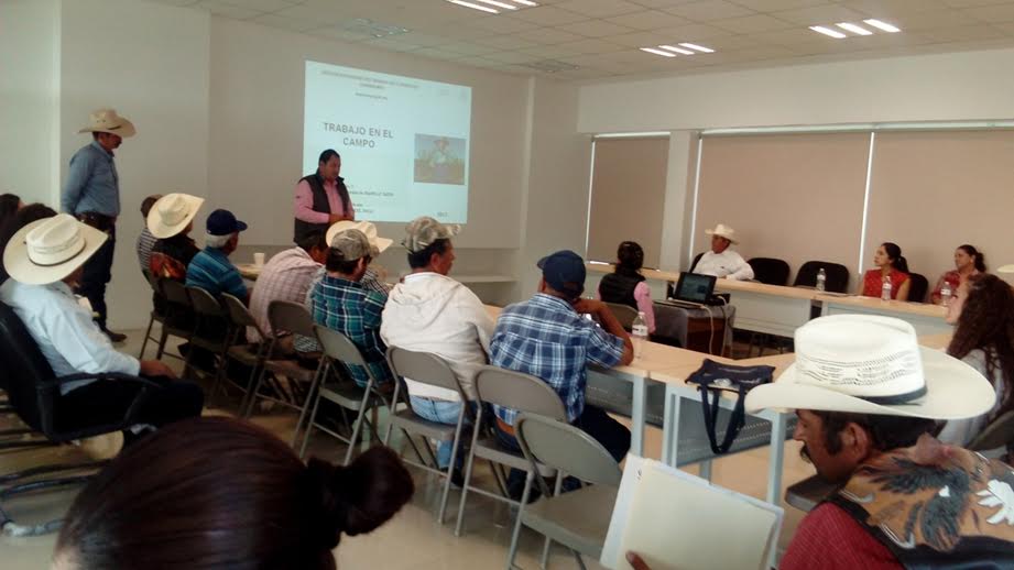 Buscan preparar a los productores ante la llegada de jornaleros de otros estados a Guanajuato. (Foto: Especial).