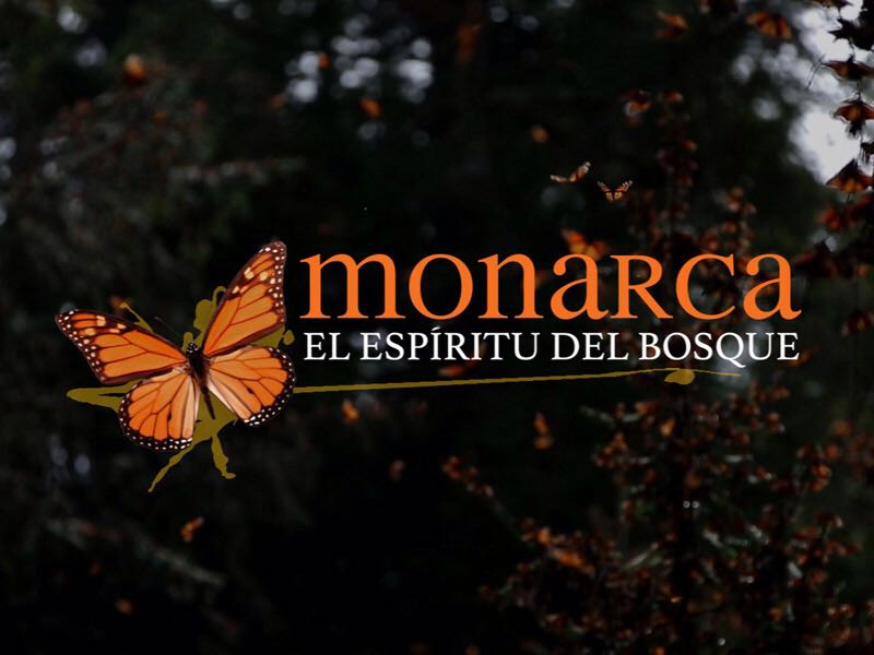 Del 29 de marzo y hasta el 25 de abril se recibirán los trabajos. 