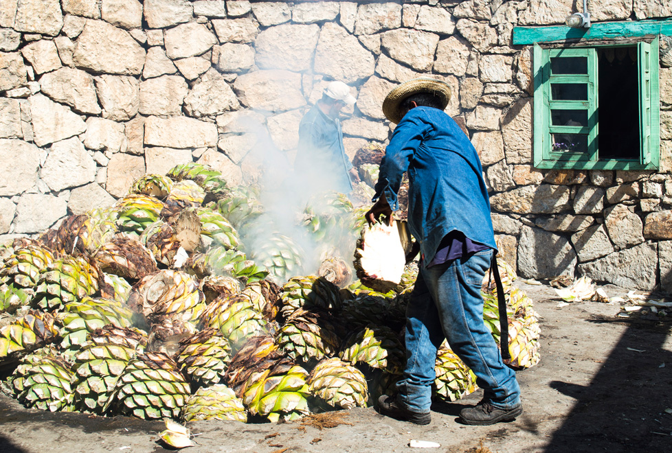 El mezcal usa insumos similares a los que utiliza el tequila, lo cual ha encarecido la producción.