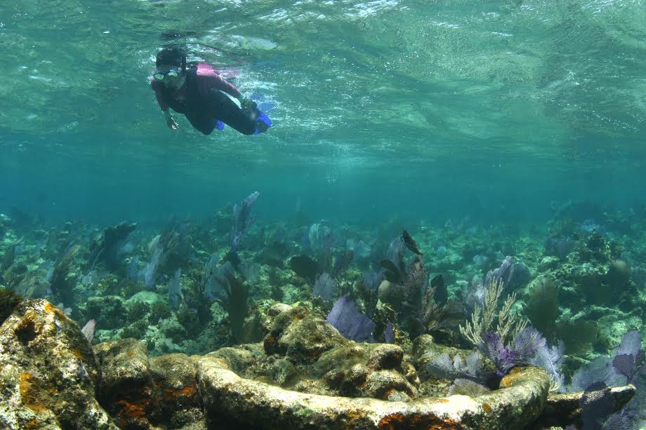 Sus playas templadas y transparentes aguas son perfectas para nadar.