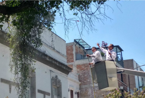 El jefe delegacional, Ricardo Monreal, y el gerente estatal de la Conafor en la Ciudad de México, Gustavo López Mendoza, pusieron en marcha el plan pi