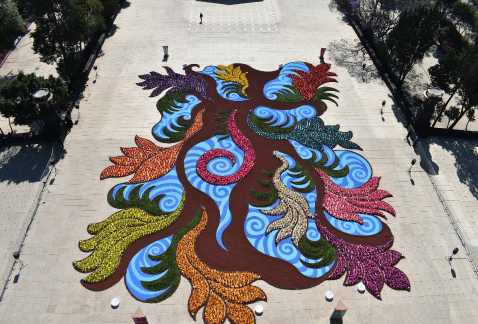 Una gran alfombra de flores embellece la explanada del Monumento a la Revolución; es "Döni, jardín efímero".
