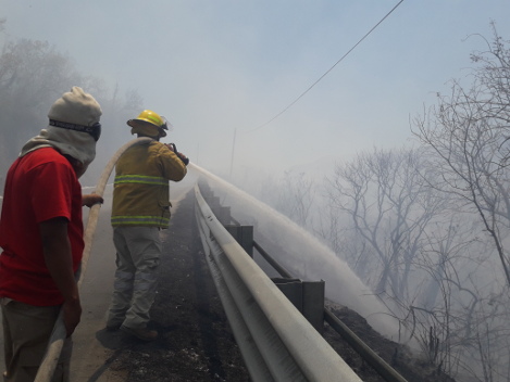 Brigadistas de la Secretaría del Medio Ambiente y Recursos Naturales, Protección Civil y Bomberos de Chilpancingo, trabajan para sofocar el fuego.