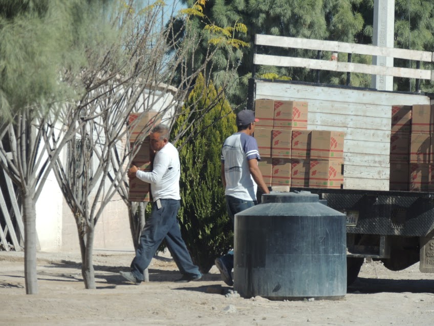 En Torreón, la FEPADE realizó el cateo de una bodega y el decomiso de materiales usados para condicionar el voto.