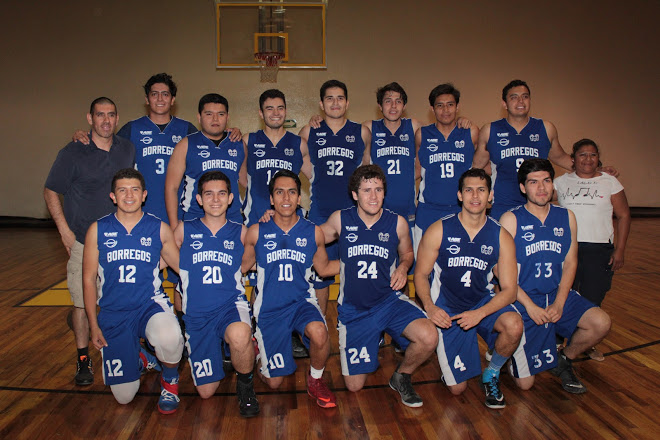 Borregos Laguna venció a Gatos Negros del Tec Laguna en la final del basquetbol de la ADUL.