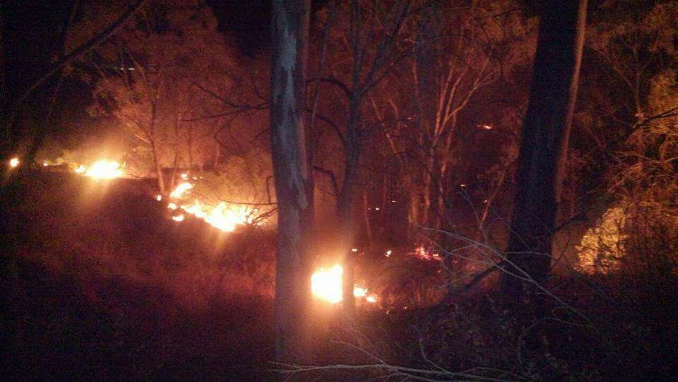 Incendio forestal, conflagración, CLV