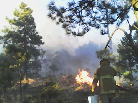 El fin de semana pasado se registraron en varias parte de Chihuahua incendios forestales.