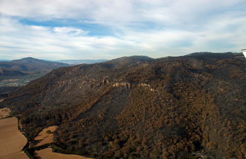 Durante dos décadas no se otorgará ningún permiso en el área afectada por el incendio del cerro El Tepopote