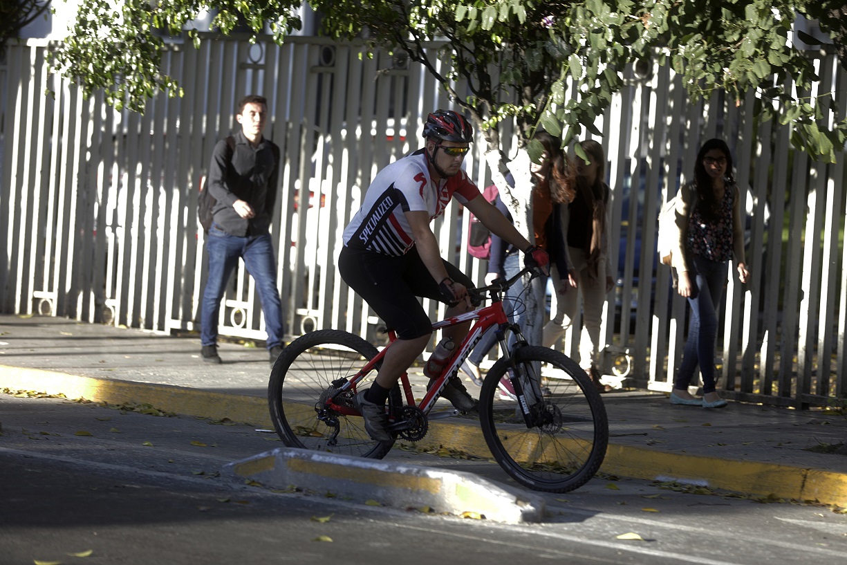 La mayoría de los encuestados se manifestó a favor de la ciclovía