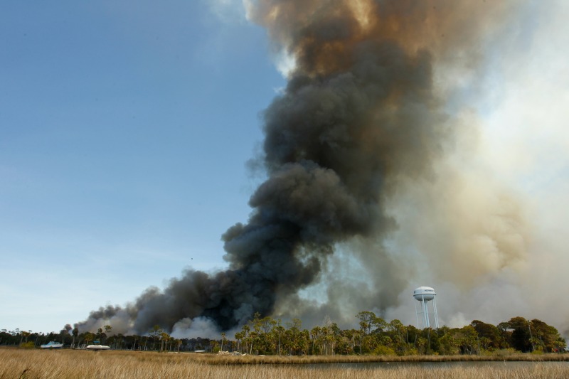 Según las autoridades, las decenas de incendios ha quemando más de 8 mil hectáreas.
