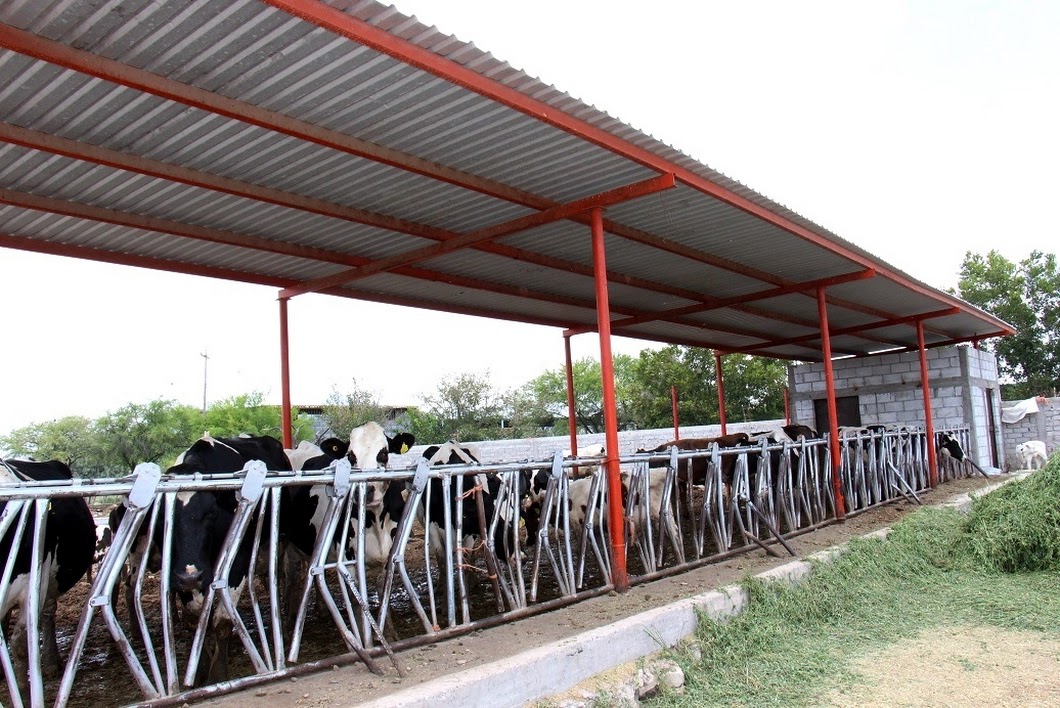 Compradores de leche en Chihuahua analizan la situación del cerco sanitario.
