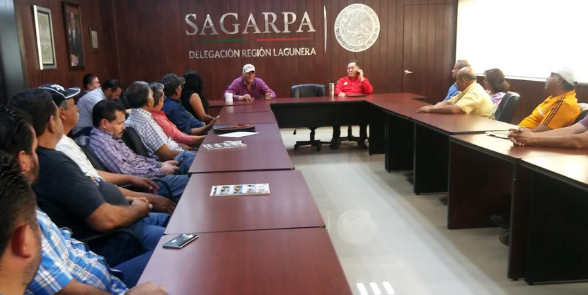 Apicultores solicitaron recursos por 1.7 mdp a Sagarpa.