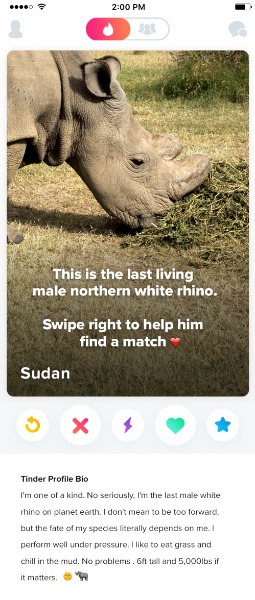 El perfil de Sudán en Tinder. 
