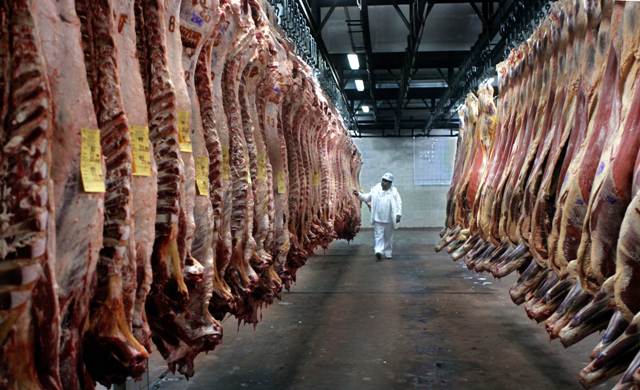 Carne de res para exportación.