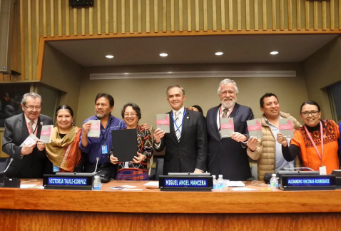 La Relatora Especial de la ONU sobre los derechos de los pueblos indígenas, Victoria Tauli-Corpuz, puso como ejemplo en la materia la Constitución de 