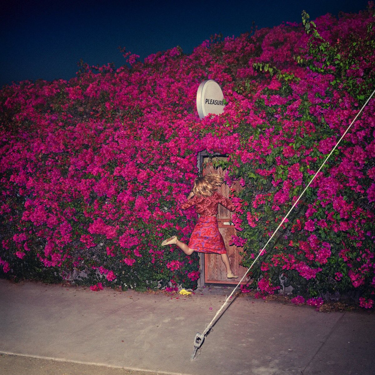 Portada de 'Pleasure'