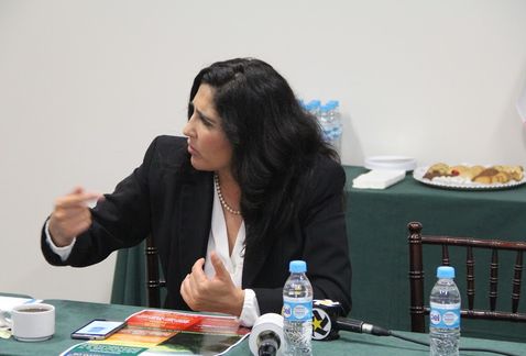 La diputada pide concentrar mayores recursos en la industria minera pequeña y mediana.