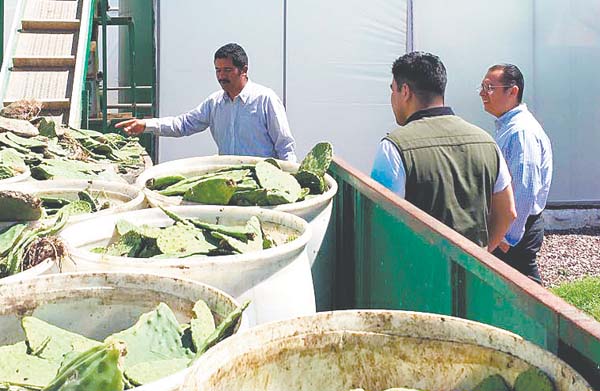 Tratar una hectárea cuesta alrededor de 2 mil 400 pesos. 