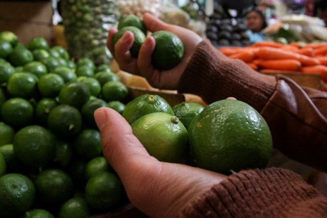 Durante 16 años, Estados Unidos no recibió limones provenientes de Argentina.