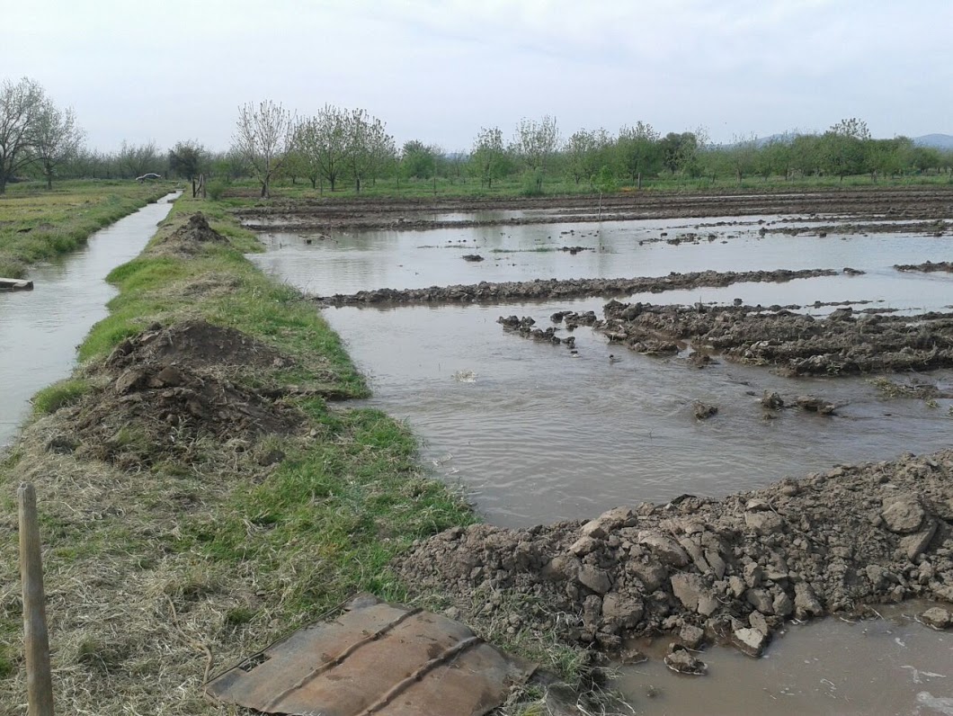Este martes llegarán al Distrito de Riego 017 788 millones de metros cúbicos de agua.