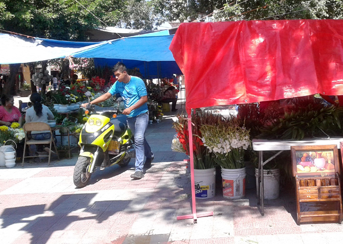 La Plaza Principal de Lerdo, fue la única área permitida para vendedores de flores.
